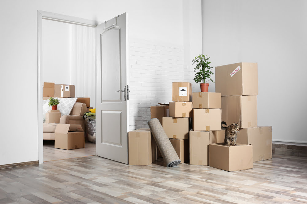 Is now the right time to move?